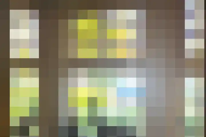 Anninksweg 64 Hengelo thumbnail 37