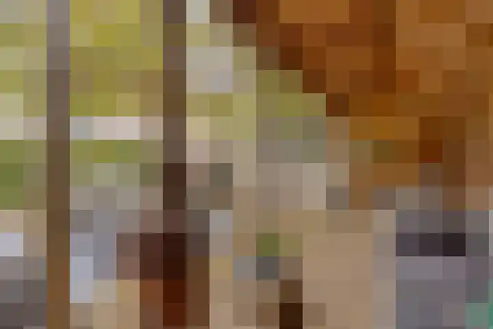 Anninksweg 68 Hengelo thumbnail 34