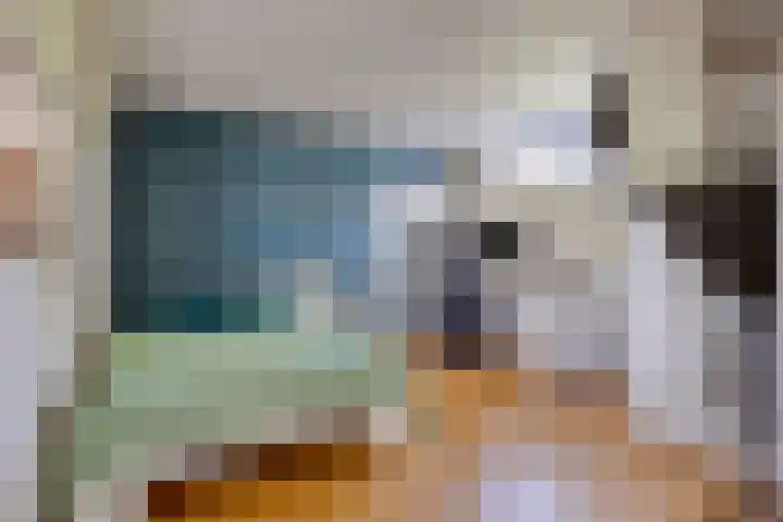 Anninksweg 68 Hengelo thumbnail 36