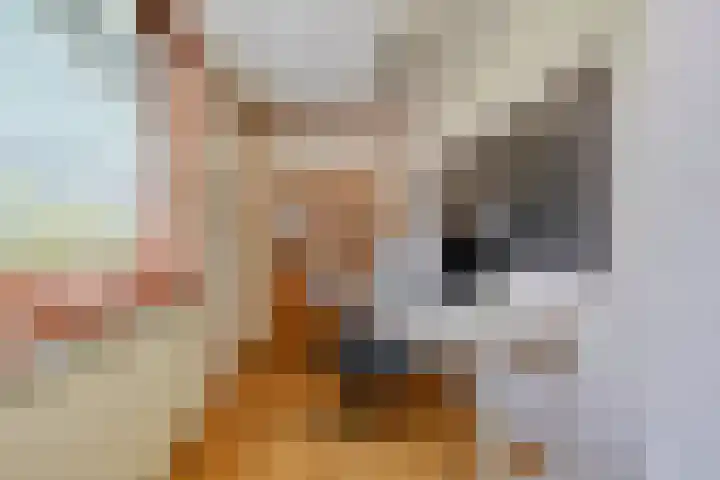 Anninksweg 68 Hengelo thumbnail 39