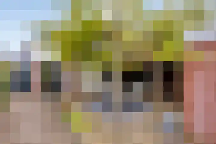 Anninksweg 68 Hengelo thumbnail 41