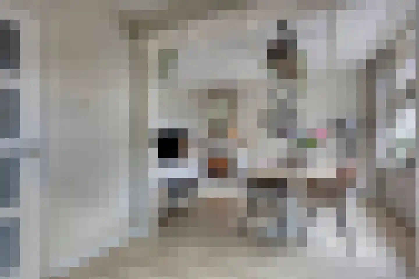 Anninksweg 69 Hengelo thumbnail 13