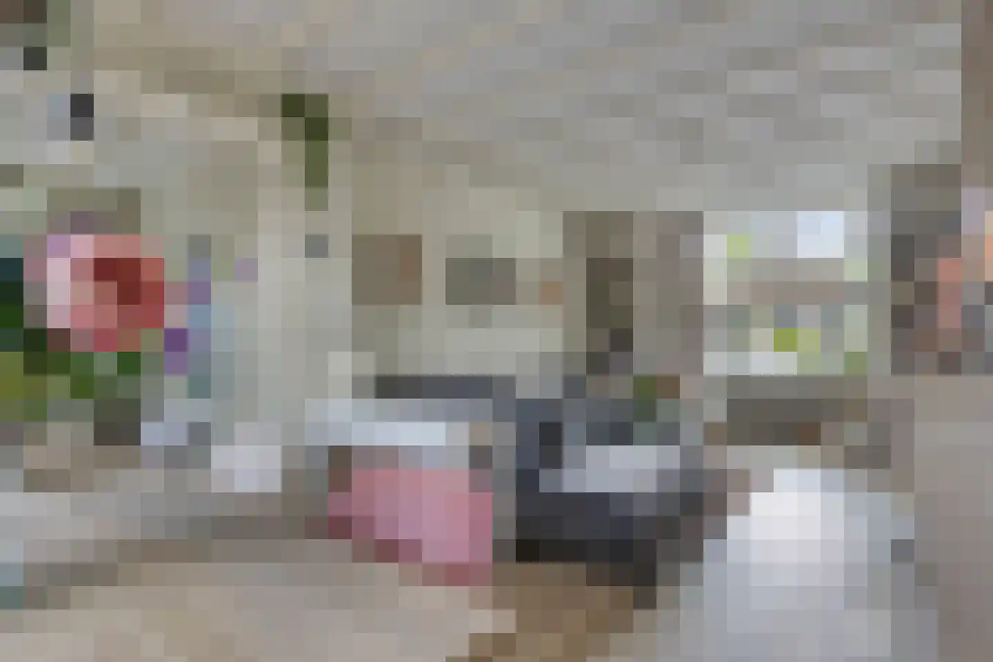 Anninksweg 69 Hengelo thumbnail 14