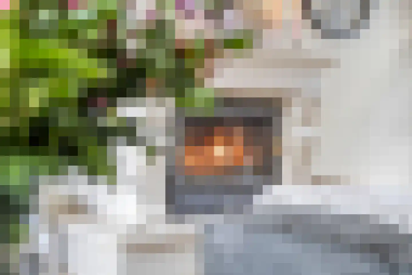 Anninksweg 69 Hengelo thumbnail 15