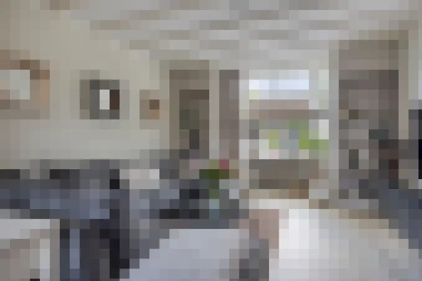 Anninksweg 69 Hengelo thumbnail 16