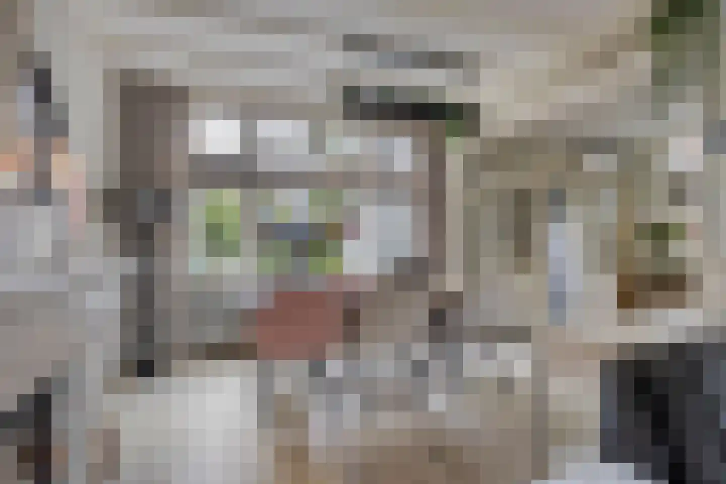 Anninksweg 69 Hengelo thumbnail 19