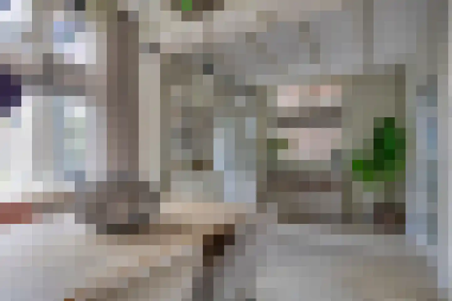 Anninksweg 69 Hengelo thumbnail 20