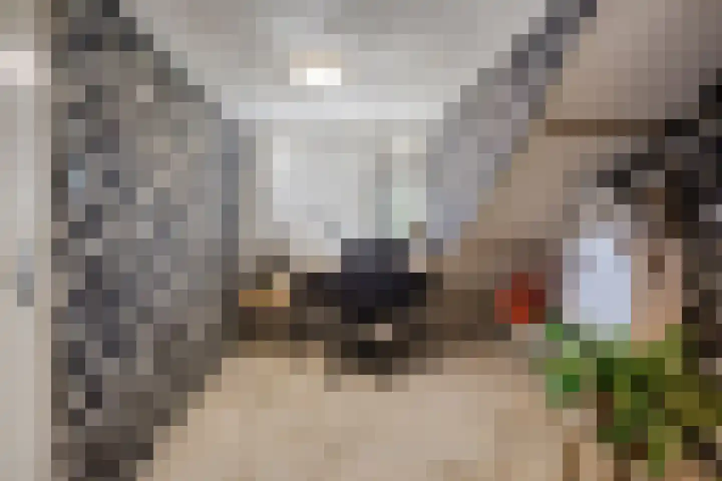 Anninksweg 69 Hengelo thumbnail 36