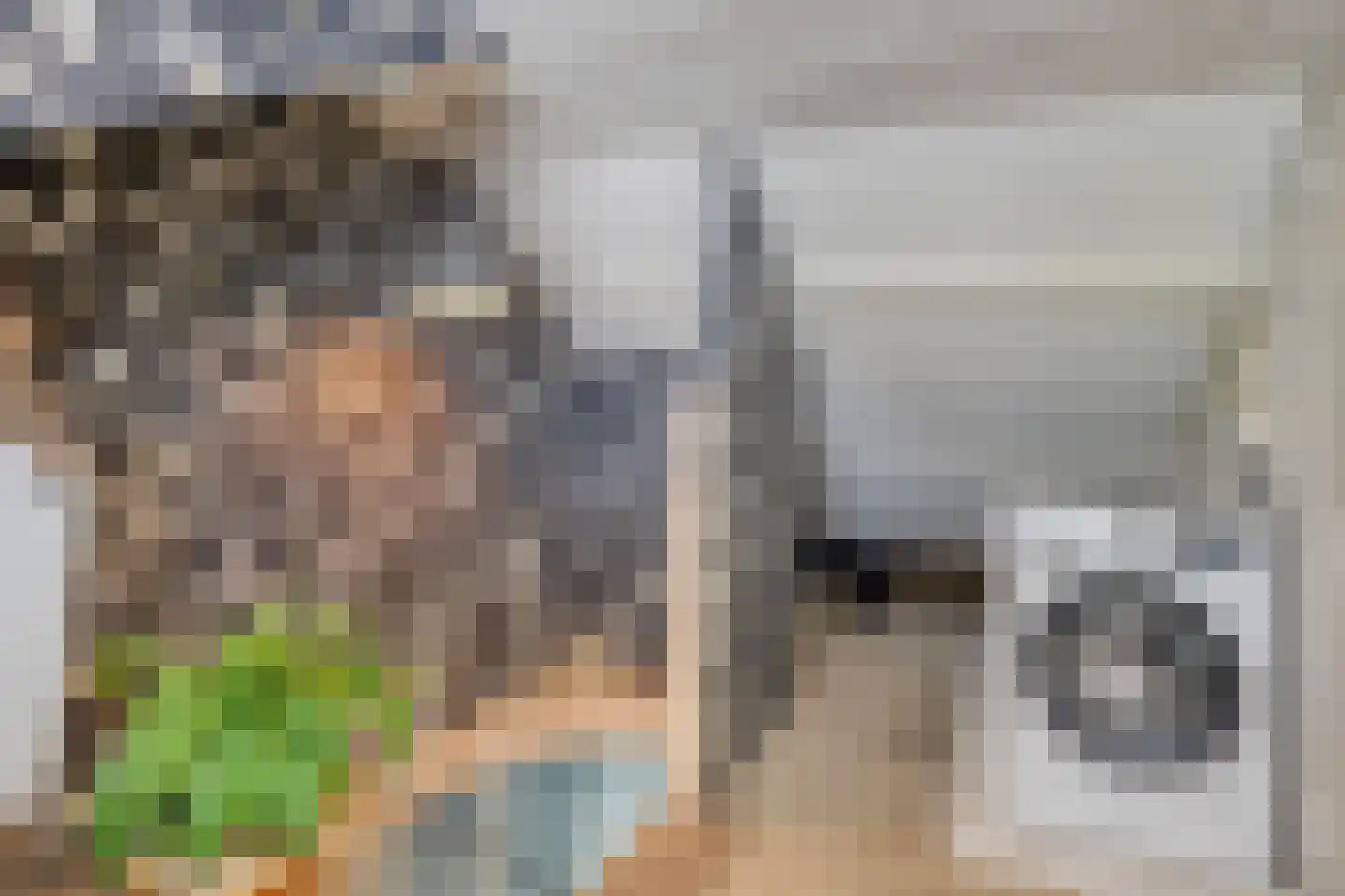 Anninksweg 69 Hengelo thumbnail 38