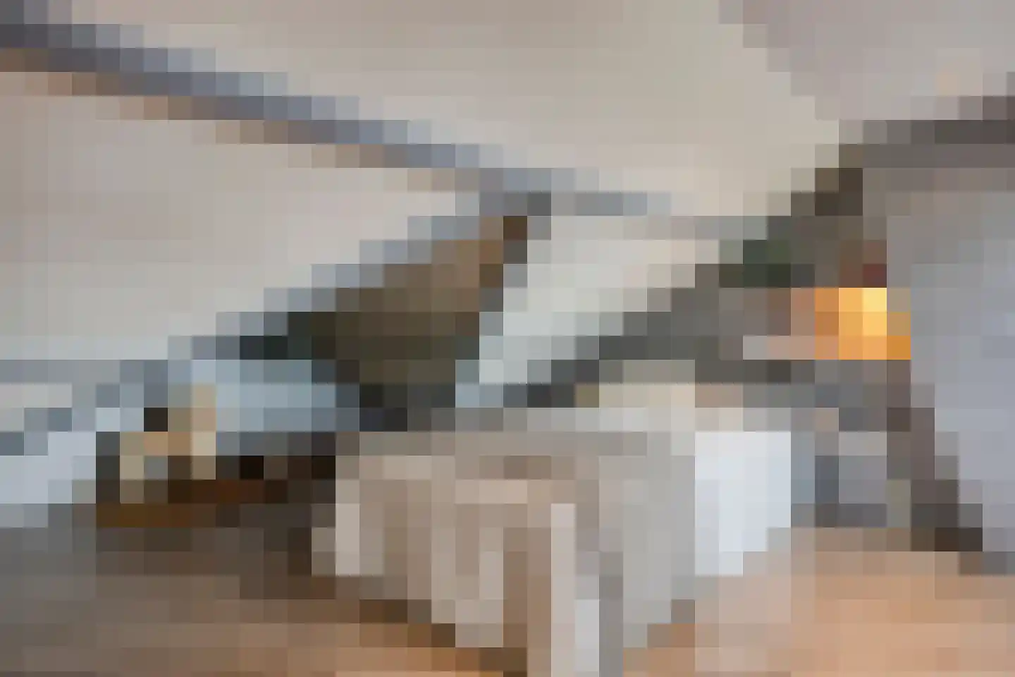 Anninksweg 69 Hengelo thumbnail 39
