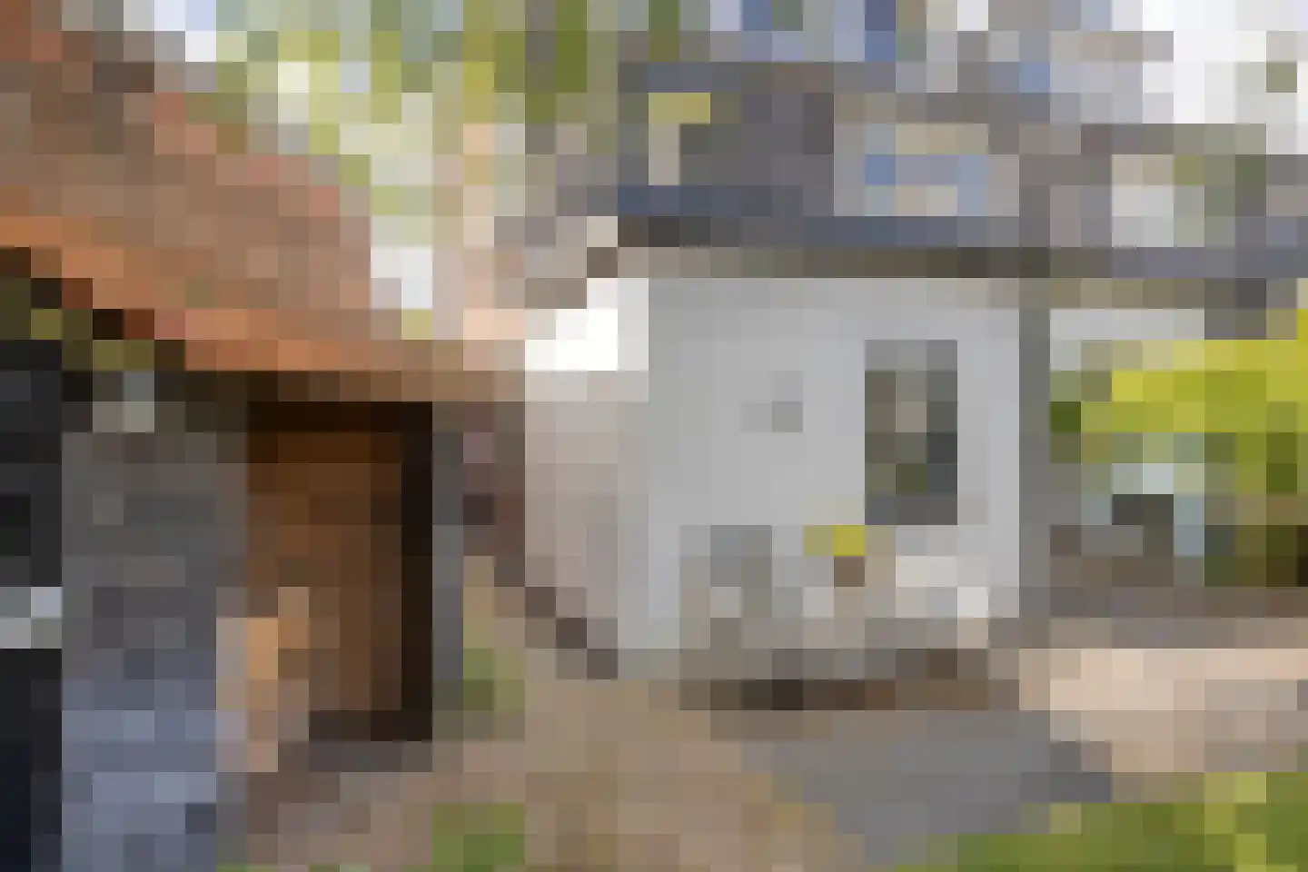 Anninksweg 69 Hengelo thumbnail 45