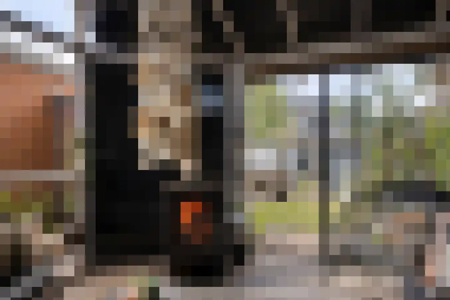 Anninksweg 69 Hengelo thumbnail 50