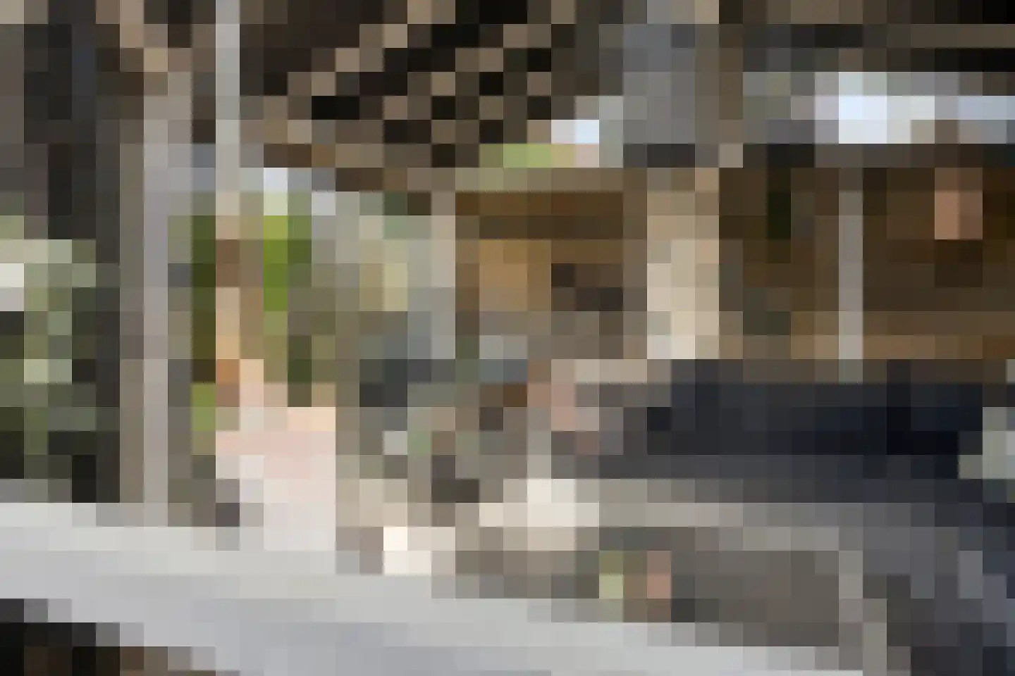 Anninksweg 69 Hengelo thumbnail 6
