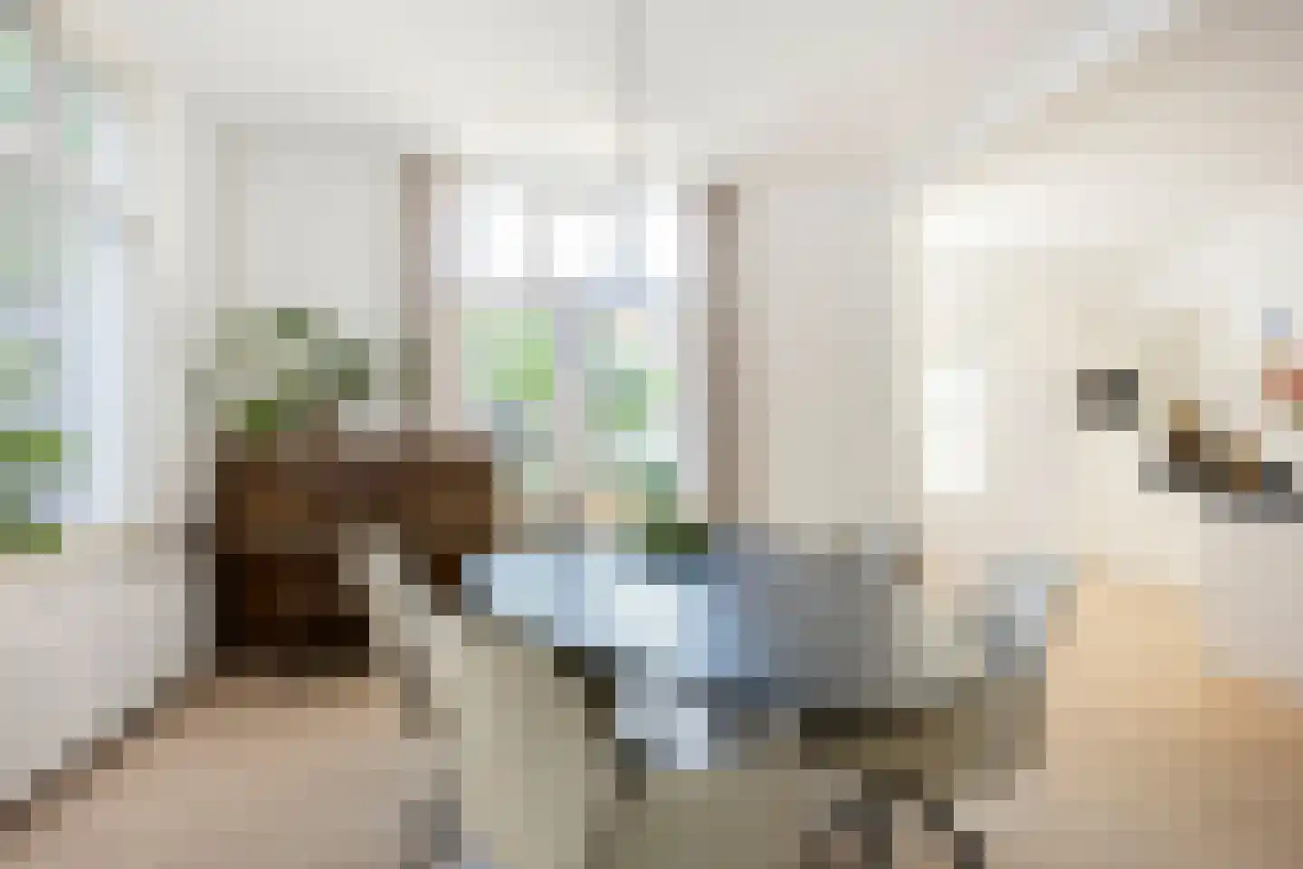 Anninksweg 74 Hengelo thumbnail 16