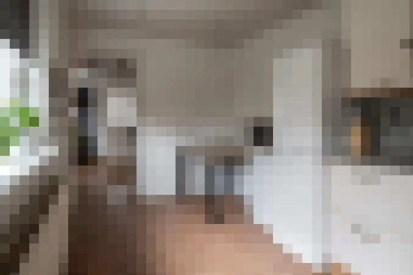 Anninksweg 83 Hengelo thumbnail 12