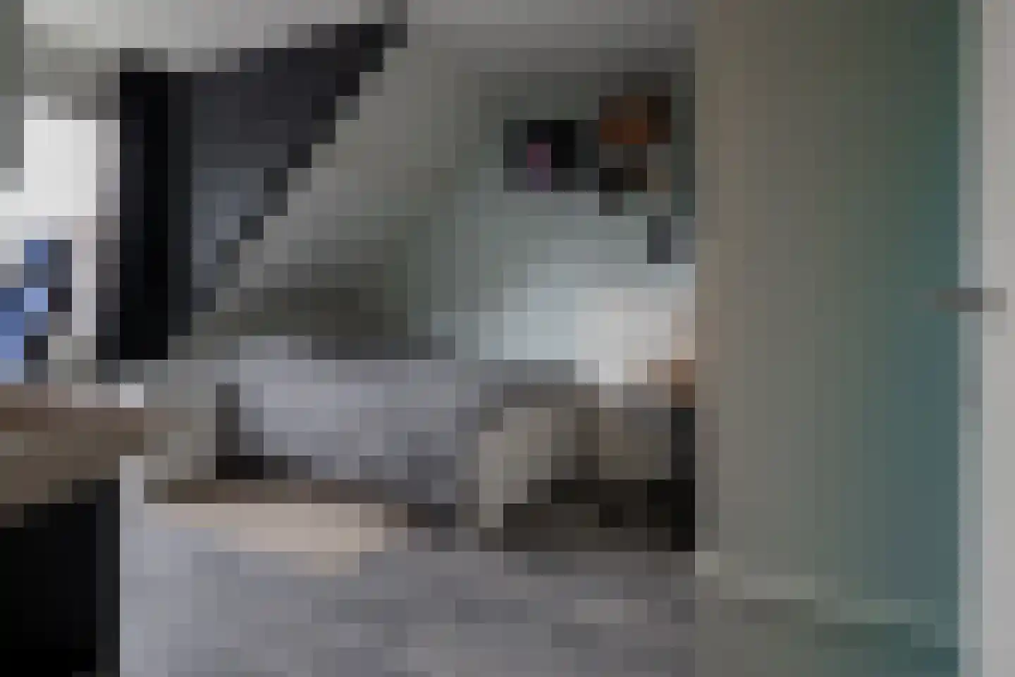 Anninksweg 83 Hengelo thumbnail 18
