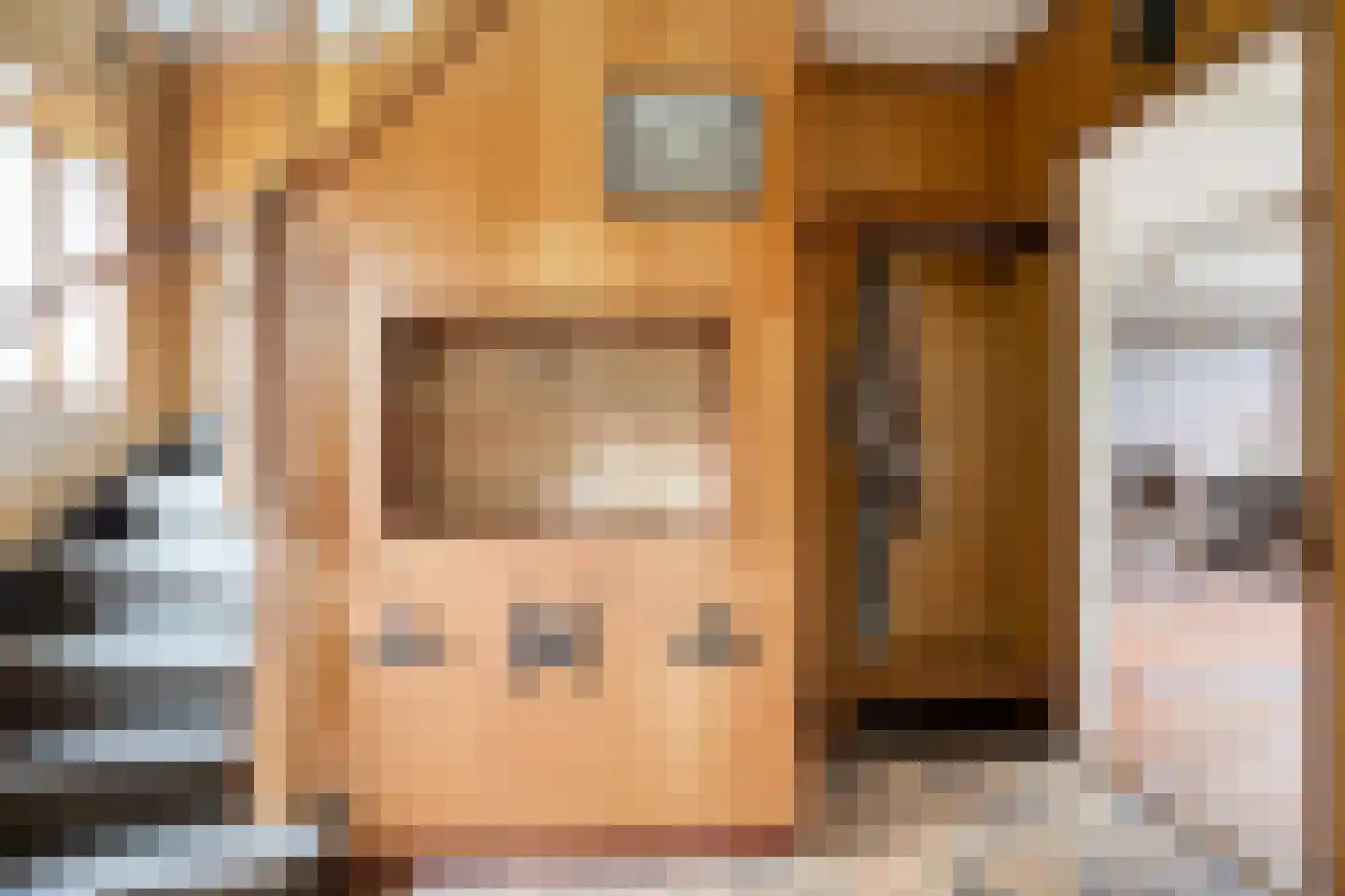 Anninksweg 96 Hengelo thumbnail 10
