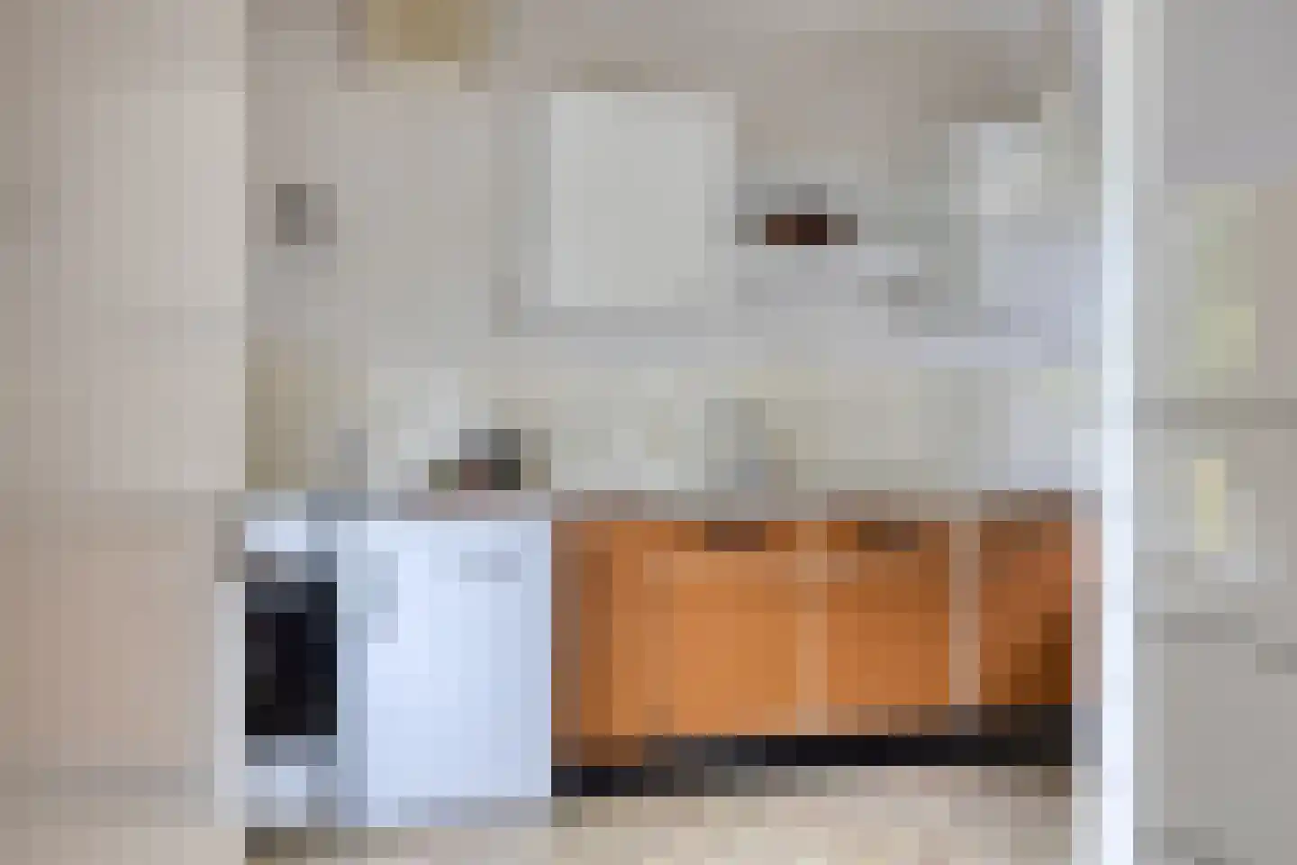Anninksweg 96 Hengelo thumbnail 23