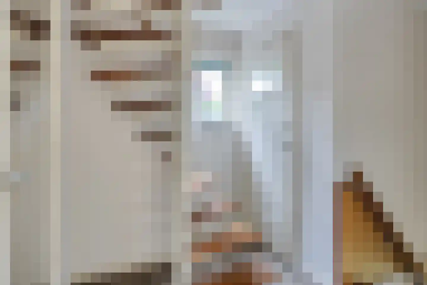 Anninksweg 96 Hengelo thumbnail 28