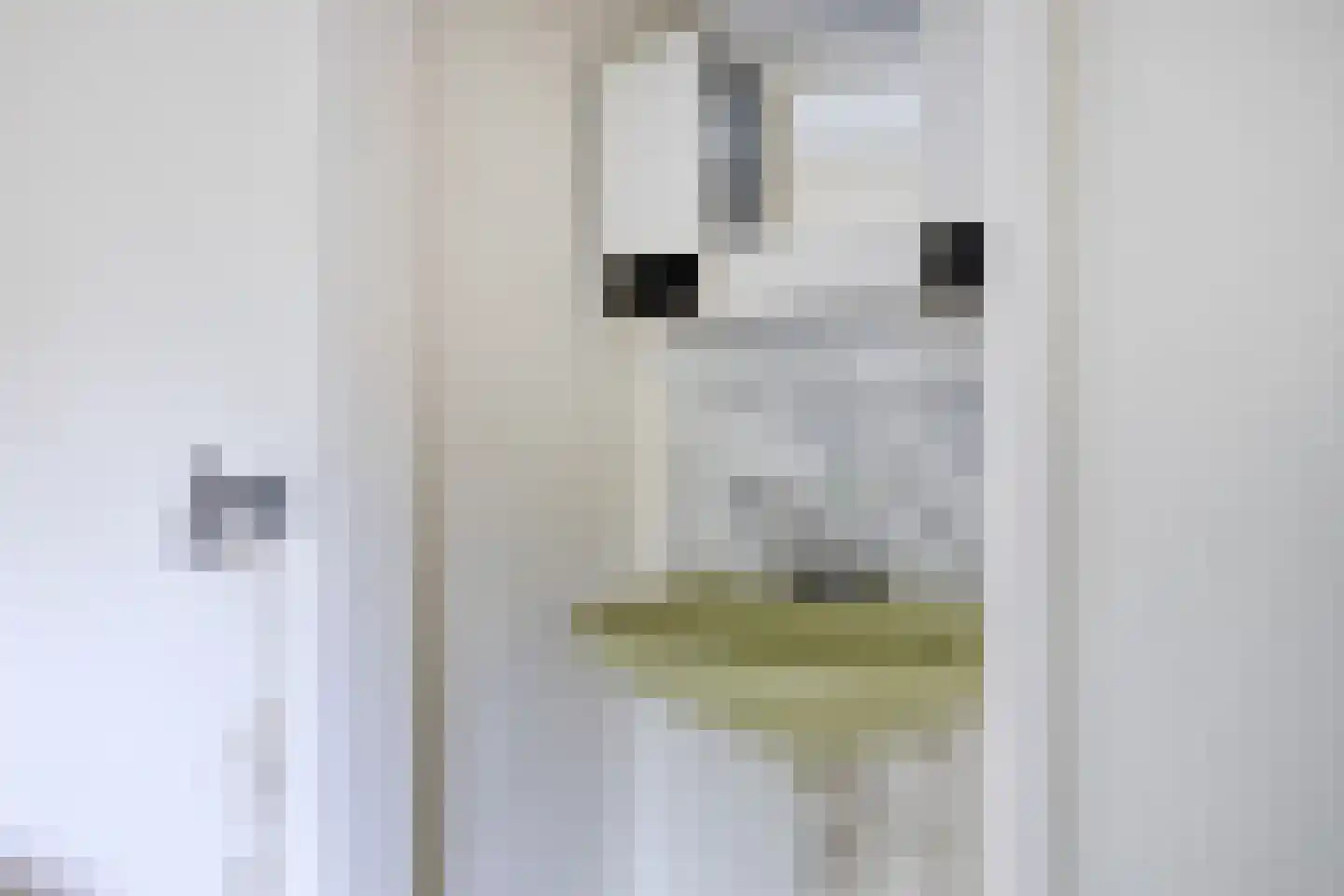 Anninksweg 96 Hengelo thumbnail 33