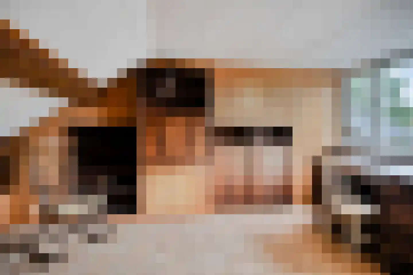 Anninksweg 96 Hengelo thumbnail 38