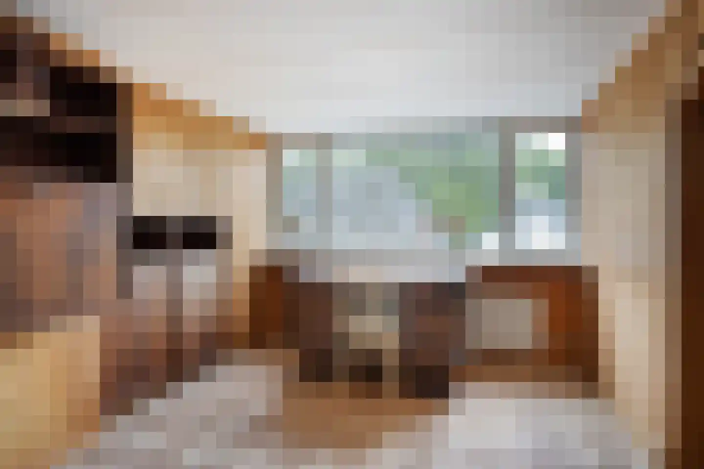 Anninksweg 96 Hengelo thumbnail 39