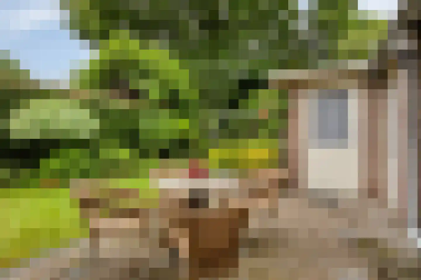 Anninksweg 96 Hengelo thumbnail 41