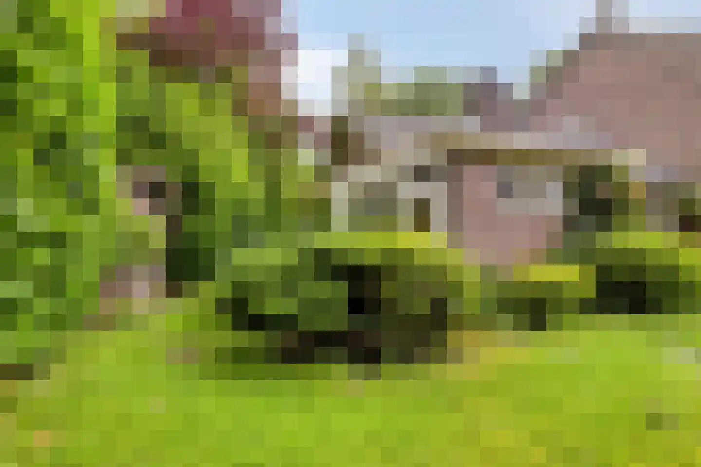 Anninksweg 96 Hengelo thumbnail 45