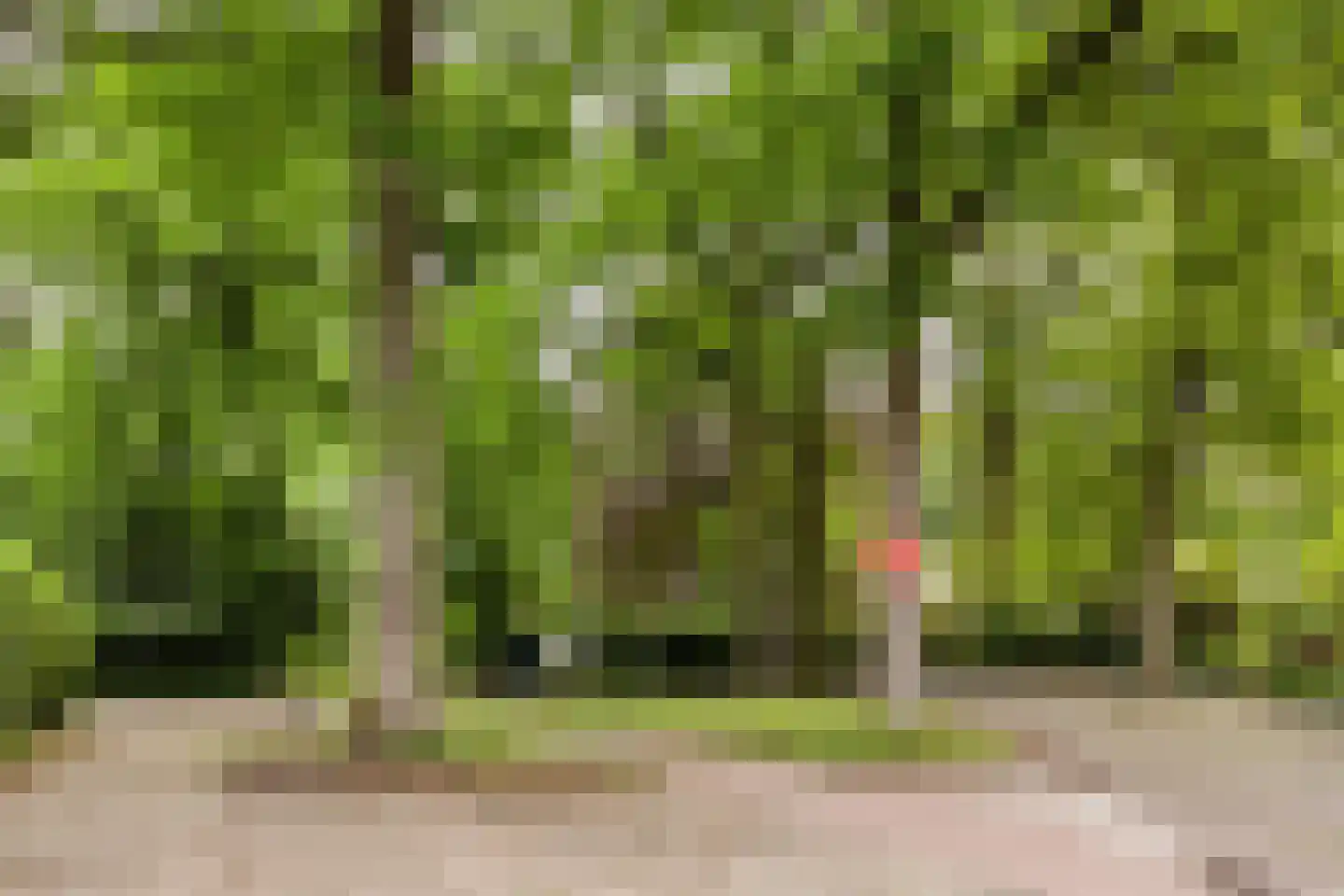 Anninksweg 96 Hengelo thumbnail 51