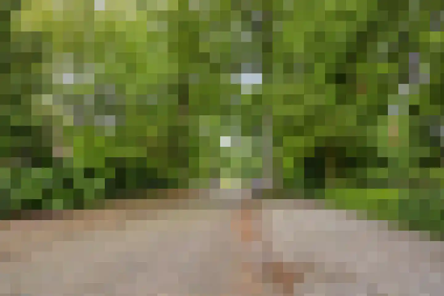Anninksweg 96 Hengelo thumbnail 52