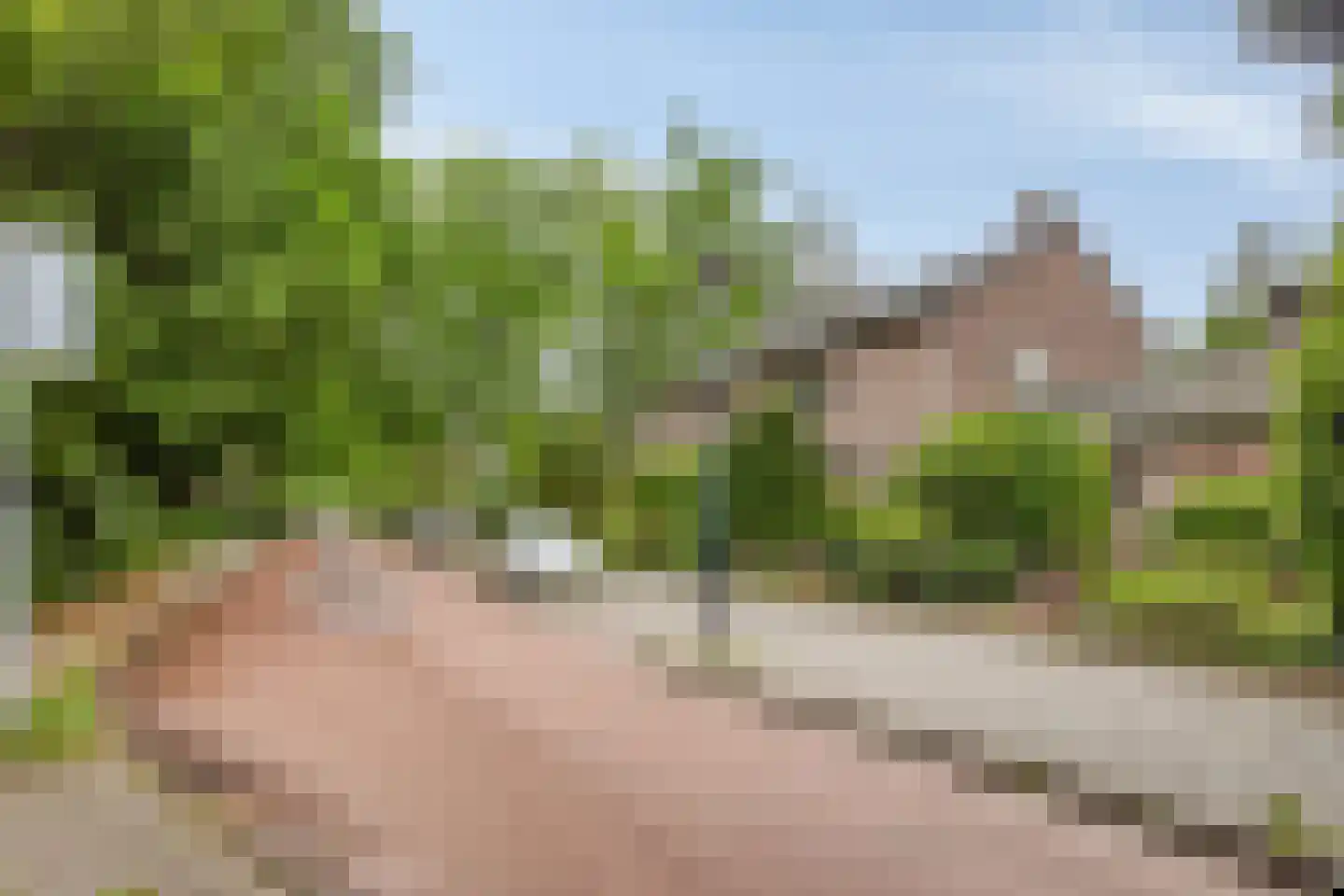 Anninksweg 96 Hengelo thumbnail 53