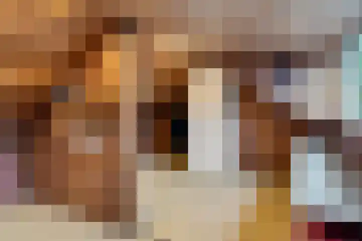 Anninksweg 98 Hengelo thumbnail 33