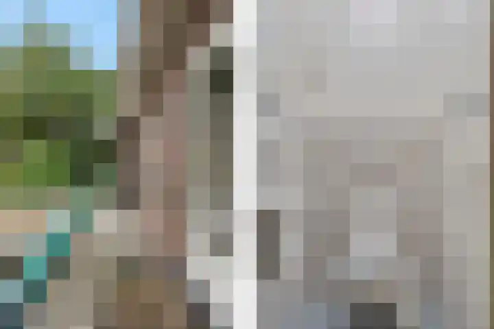 Anninksweg 98 Hengelo thumbnail 40