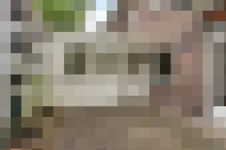 Anninksweg 98 Hengelo thumbnail 41