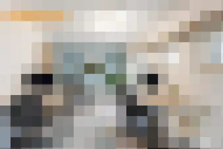 Anninksweg 98 Hengelo thumbnail 44