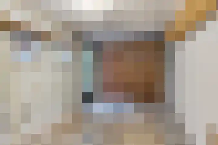 Anninksweg 98 Hengelo thumbnail 45