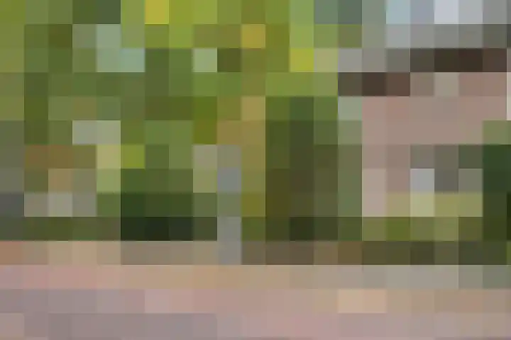 Anninksweg 98 Hengelo thumbnail 6