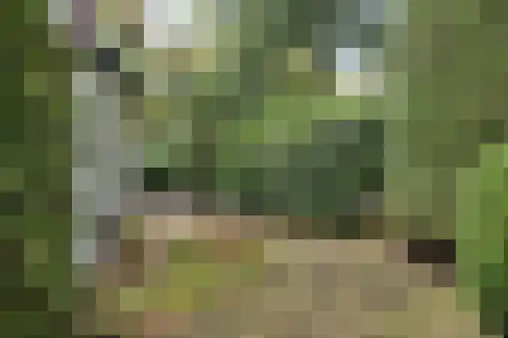 Anninksweg 98 Hengelo thumbnail 8