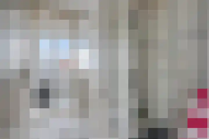 Annoijstraat 10 Sas van Gent thumbnail 12
