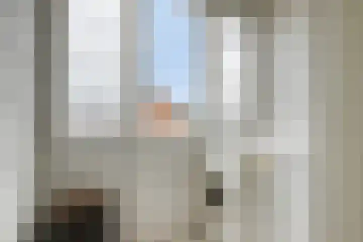 Annoijstraat 10 Sas van Gent thumbnail 14