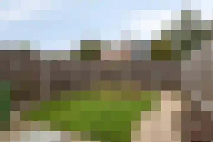 Annoijstraat 10 Sas van Gent thumbnail 15