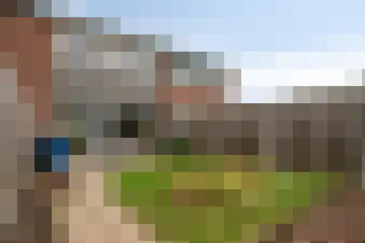 Annoijstraat 10 Sas van Gent thumbnail 16