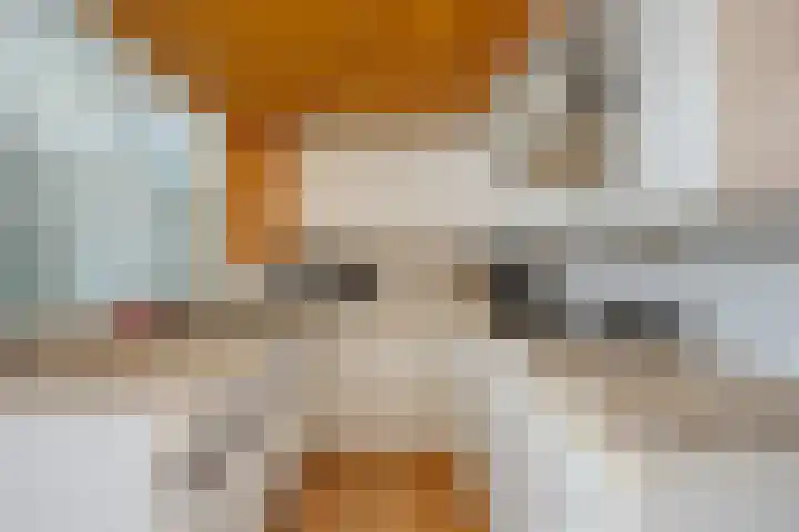 Annoijstraat 10 Sas van Gent thumbnail 8