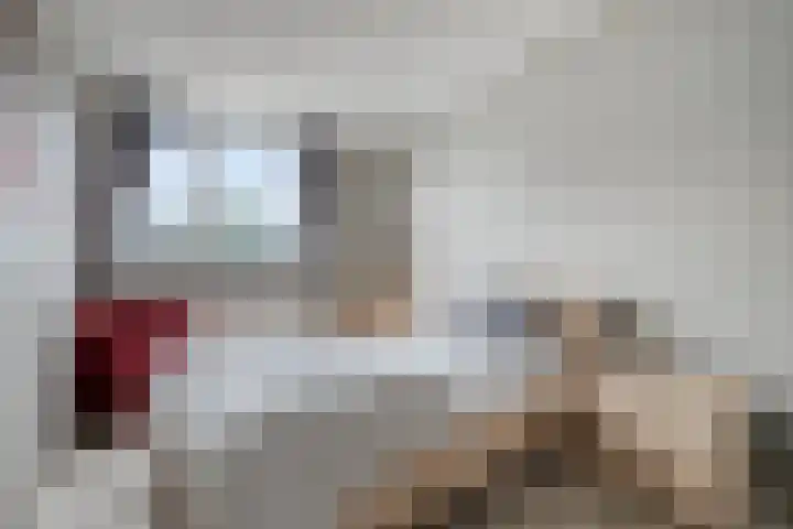 Annoijstraat 10 Sas van Gent thumbnail 9