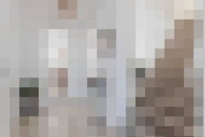 Annokkeelaan 16 Bergen (NH) thumbnail 26