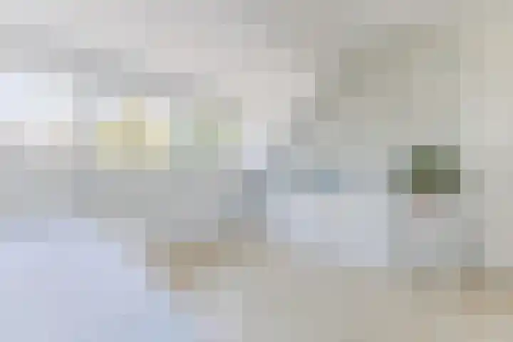 Annokkeelaan 16 Bergen (NH) thumbnail 28
