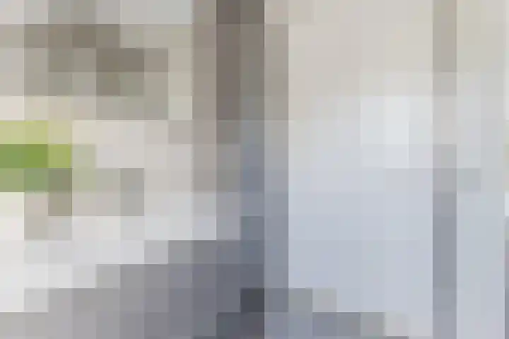 Annokkeelaan 16 Bergen (NH) thumbnail 34