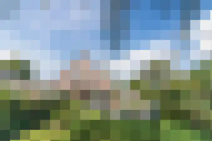 Annokkeelaan 16 Bergen (NH) thumbnail 36
