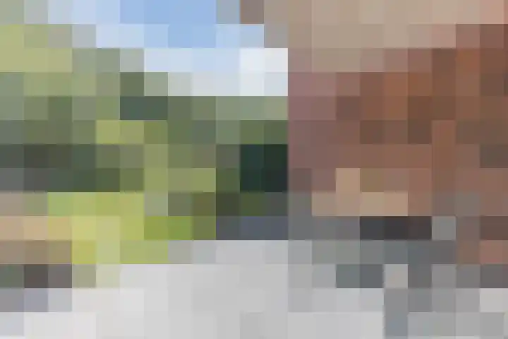 Annokkeelaan 16 Bergen (NH) thumbnail 37