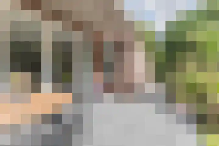 Annokkeelaan 16 Bergen (NH) thumbnail 38